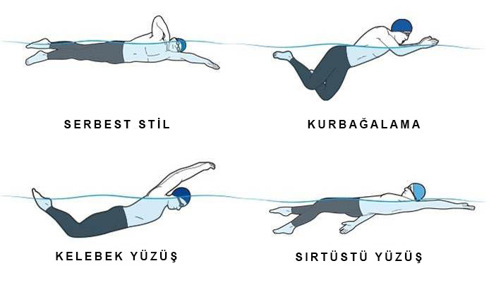 Yüzme Stilleri